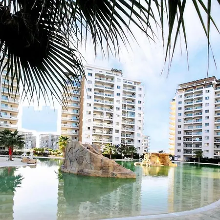 Caesar Vitus Design *