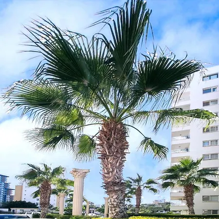 Caesar Vitus Design Iskele District (Northern Cyprus)