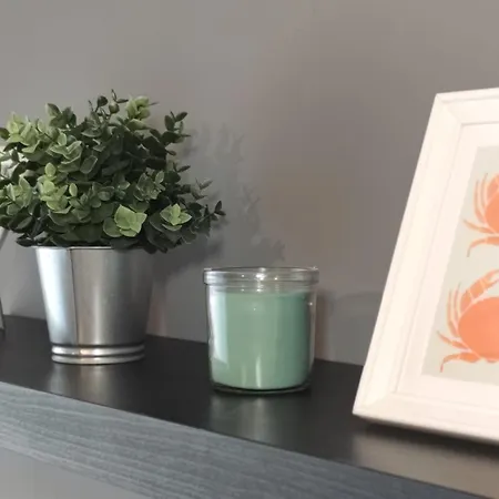 Apartment Caesar Vitus Design *